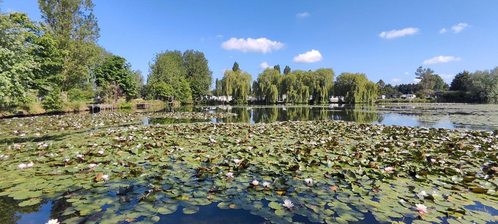 Апартаменты Billing Aquadrome Northampton, Royale Poplar Km12 Экстерьер фото